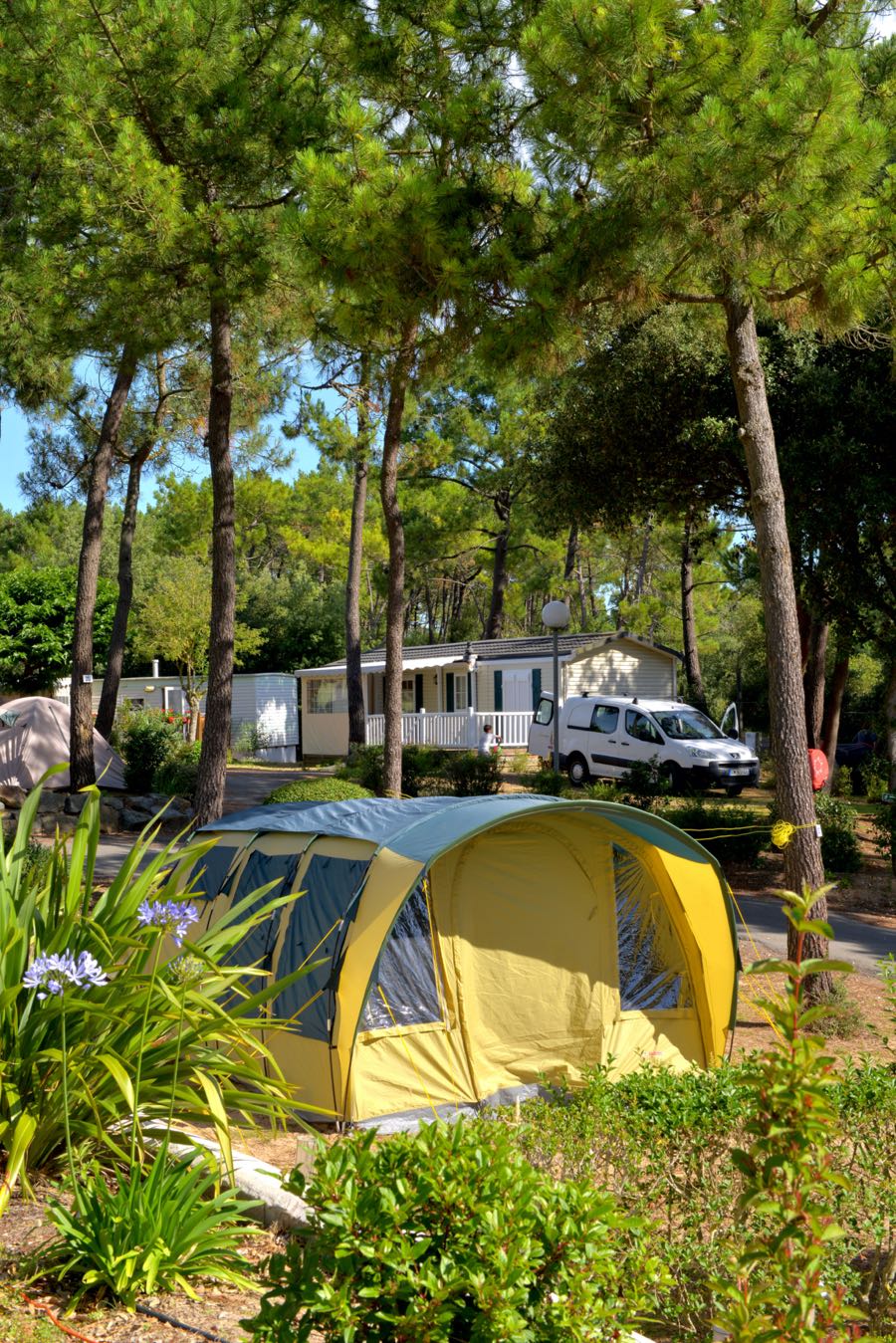 camping-saint-jean-de-monts-tent-site-the-Tropicana