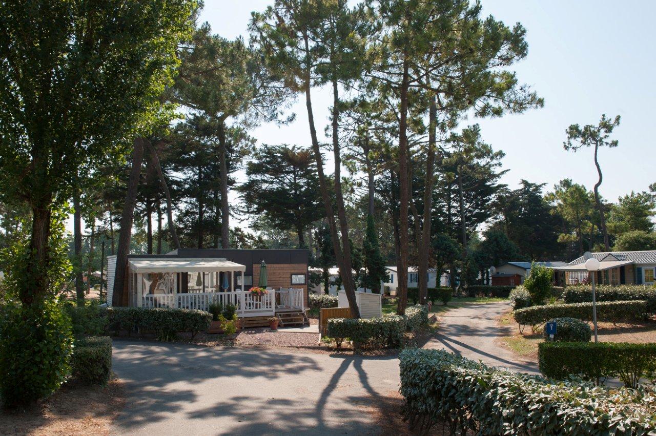 Location-emplacement-camping-car-sous-les-arbres-saint-jean-de-monts-Le-Tropicana