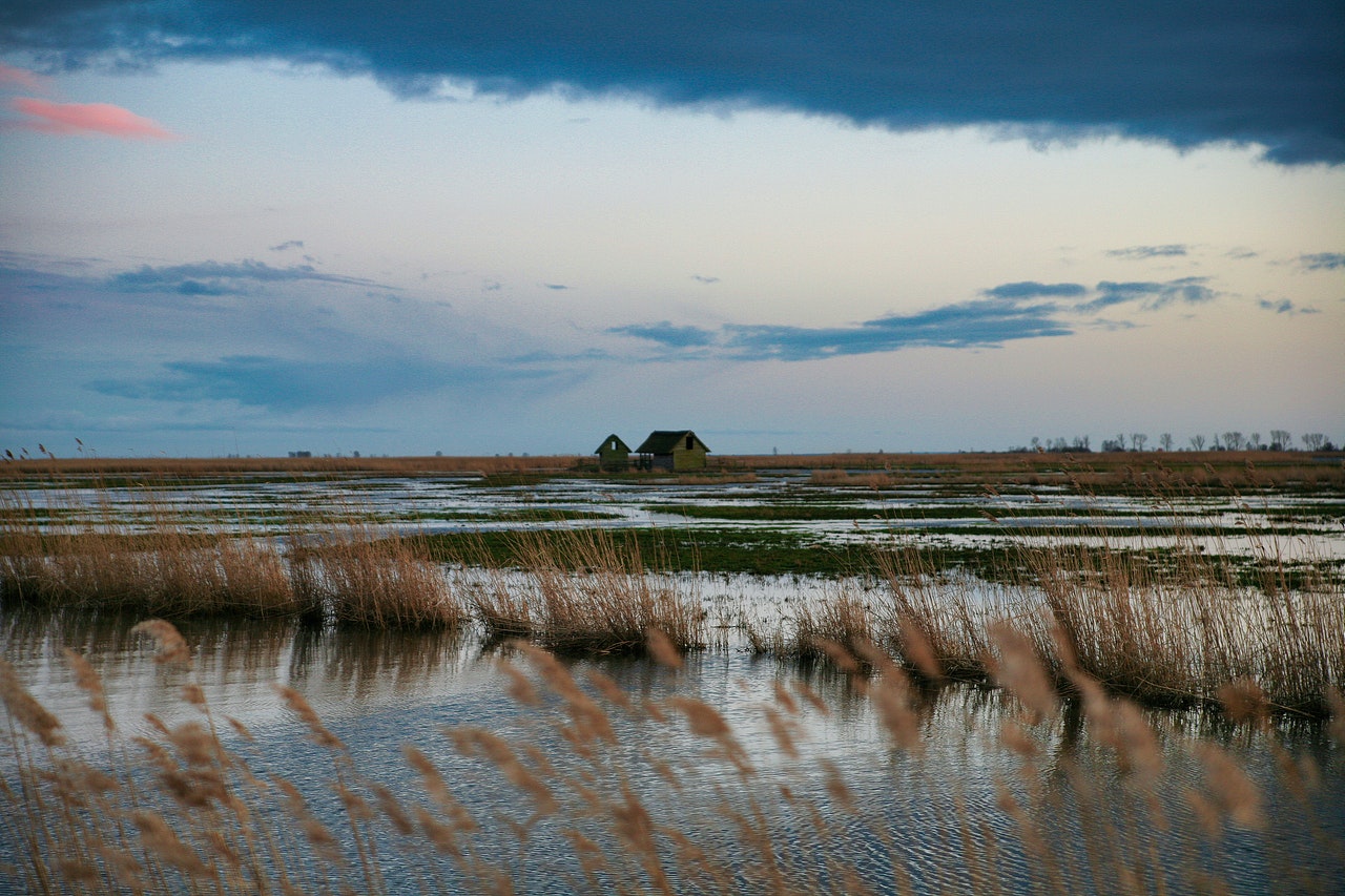 Saint-Jean-de-Monts marshes