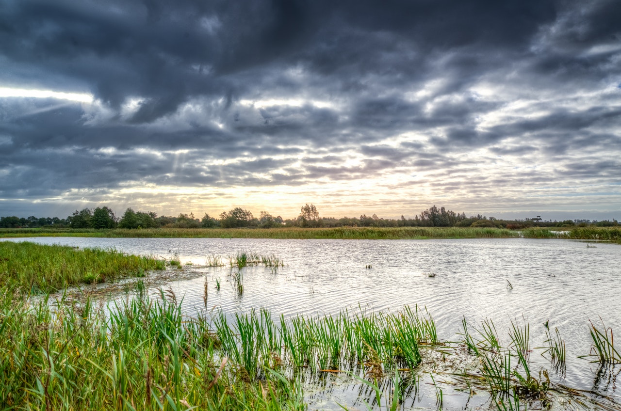 Marais Vendéen in Saint-Jean-de-Monts | De Tropicana