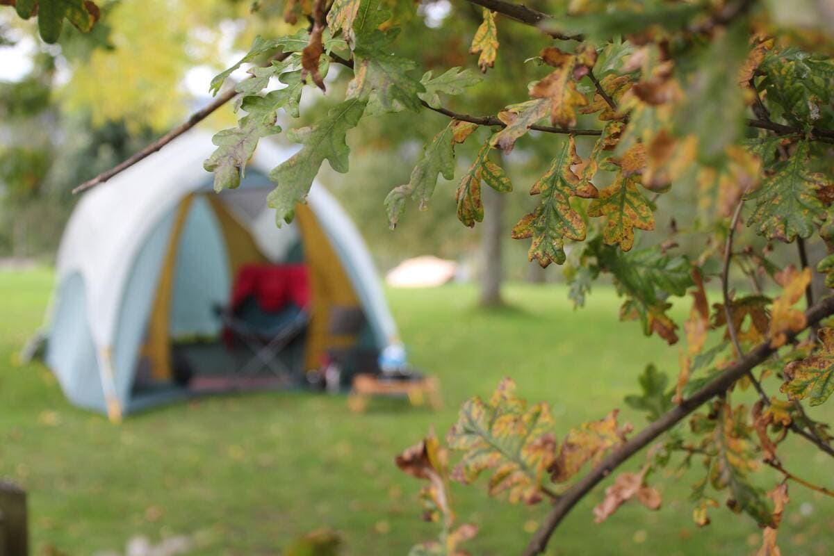 5-sterren camping Saint-Jean-de-Monts | De Tropicana