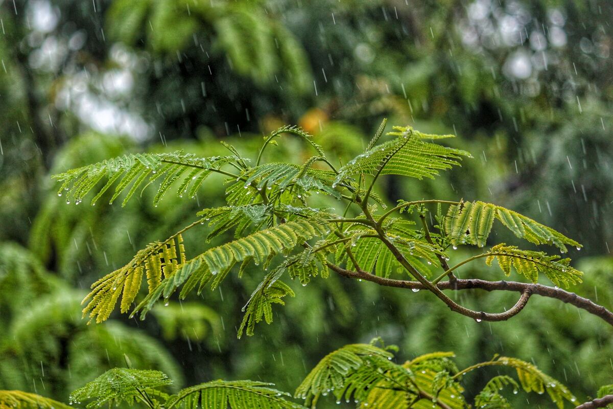 Météo camping à Saint-Jean-de-Monts | Le Tropicana