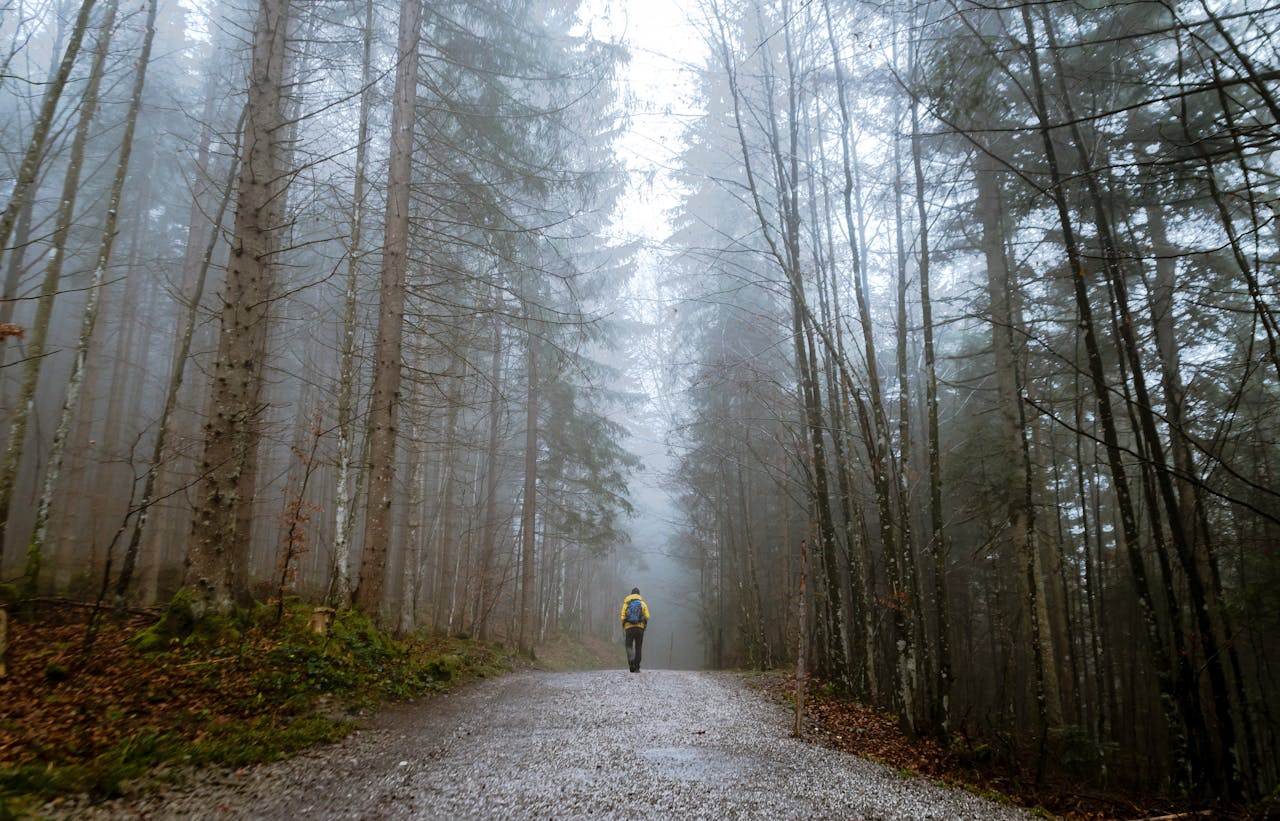 Balade en forêt Saint-Jean-de-Monts | Le Tropicana